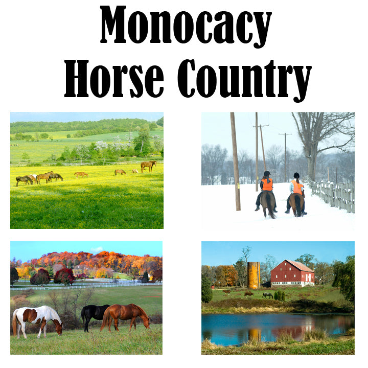 Hand Printed Note Cards - Monocacy Horse Country